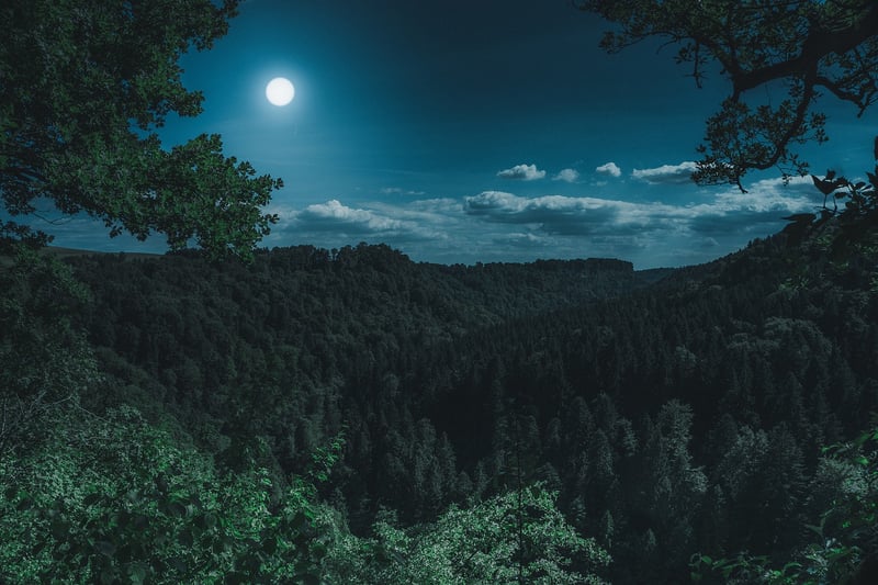Moon Phase Decor